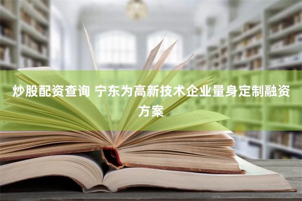 炒股配资查询 宁东为高新技术企业量身定制融资方案