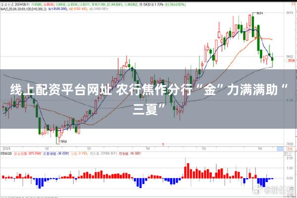 线上配资平台网址 农行焦作分行“金”力满满助“三夏”