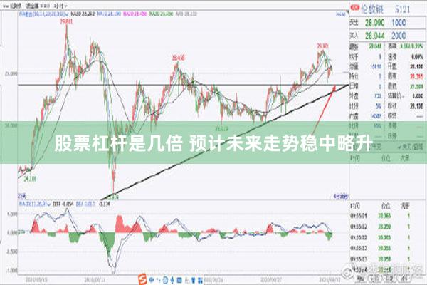 股票杠杆是几倍 预计未来走势稳中略升