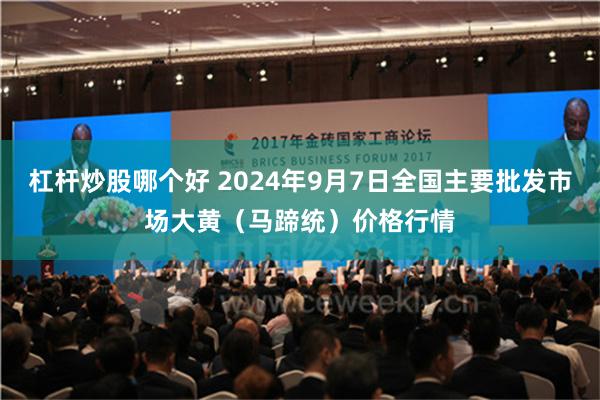 杠杆炒股哪个好 2024年9月7日全国主要批发市场大黄（马蹄统）价格行情