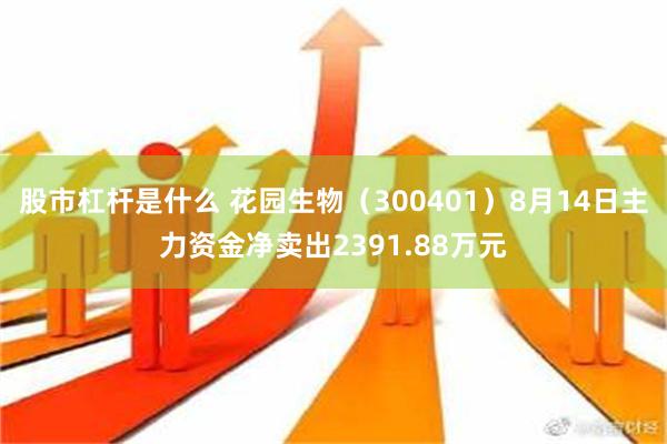 股市杠杆是什么 花园生物（300401）8月14日主力资金净卖出2391.88万元