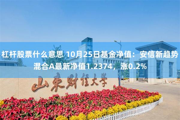 杠杆股票什么意思 10月25日基金净值：安信新趋势混合A最新净值1.2374，涨0.2%