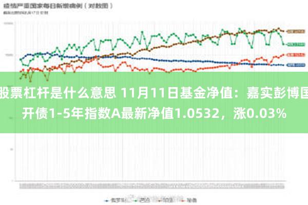 股票杠杆是什么意思 11月11日基金净值：嘉实彭博国开债1-5年指数A最新净值1.0532，涨0.03%