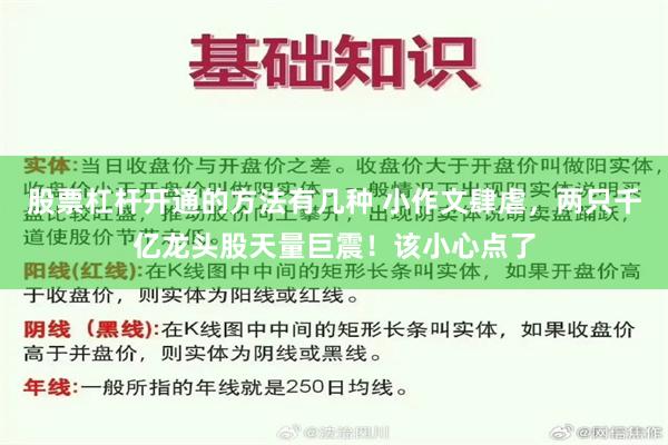 股票杠杆开通的方法有几种 小作文肆虐，两只千亿龙头股天量巨震！该小心点了