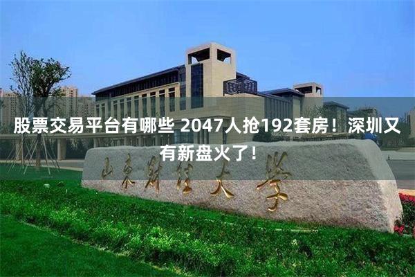 股票交易平台有哪些 2047人抢192套房！深圳又有新盘火了！