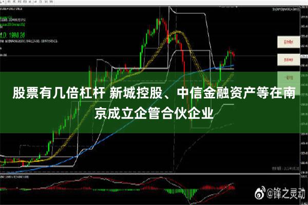 股票有几倍杠杆 新城控股、中信金融资产等在南京成立企管合伙企业