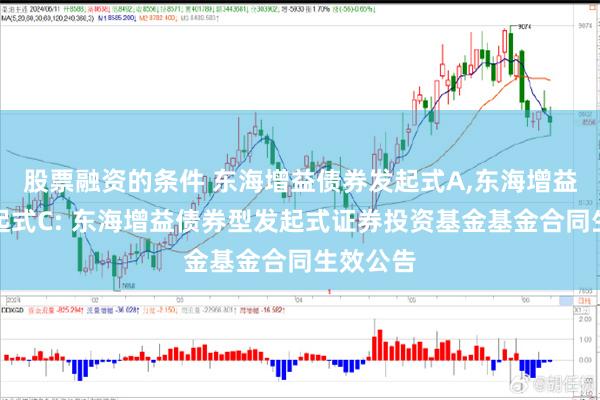 股票融资的条件 东海增益债券发起式A,东海增益债券发起式C: 东海增益债券型发起式证券投资基金基金合同生效公告