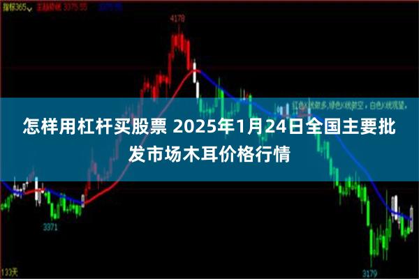 怎样用杠杆买股票 2025年1月24日全国主要批发市场木耳价格行情