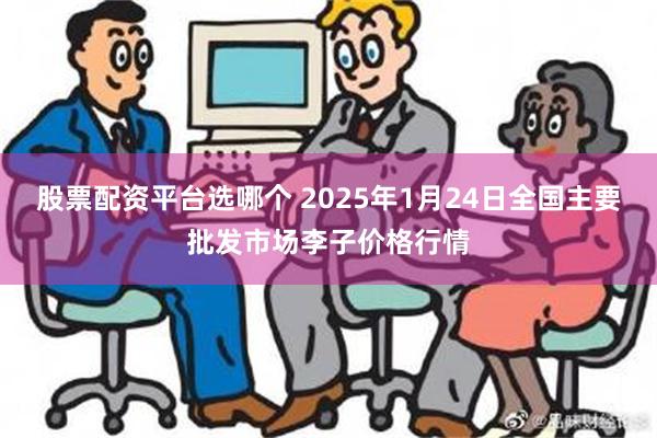 股票配资平台选哪个 2025年1月24日全国主要批发市场李子价格行情