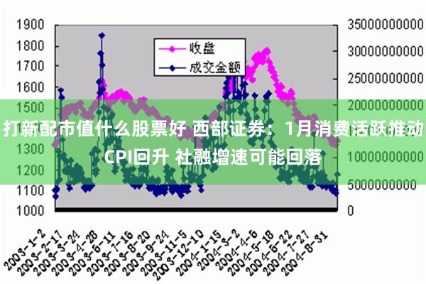 打新配市值什么股票好 西部证券：1月消费活跃推动CPI回升 社融增速可能回落