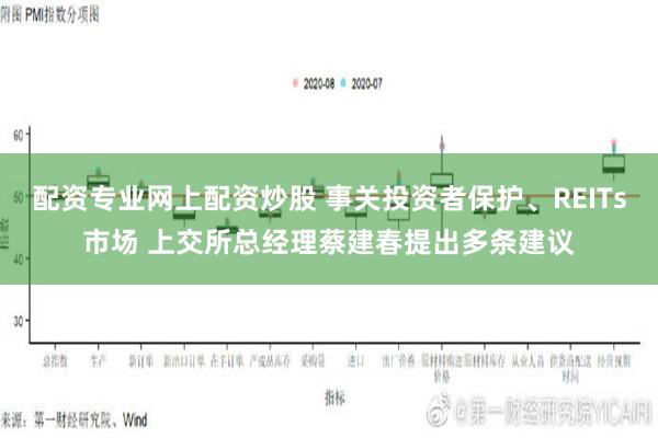 配资专业网上配资炒股 事关投资者保护、REITs市场 上交所总经理蔡建春提出多条建议